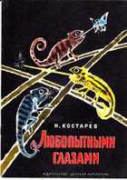 Обложка - предпросмотр