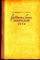 Обложка - предпросмотр
