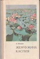 Обложка - предпросмотр