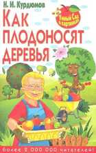 Обложка - предпросмотр