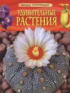 Обложка - предпросмотр