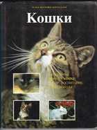 Обложка - предпросмотр