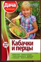 Обложка - предпросмотр