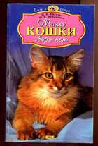 Обложка - предпросмотр