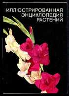 Обложка - предпросмотр