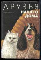 Обложка - предпросмотр