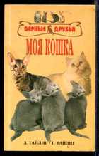 Обложка - предпросмотр
