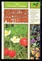 Обложка - предпросмотр