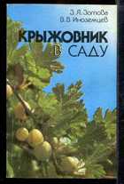 Обложка - предпросмотр