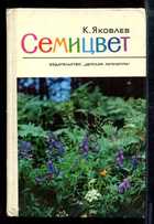 Обложка - предпросмотр