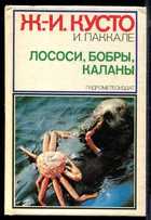 Обложка - предпросмотр