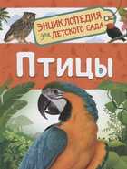 Обложка - предпросмотр