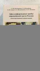 фото - предпросмотр