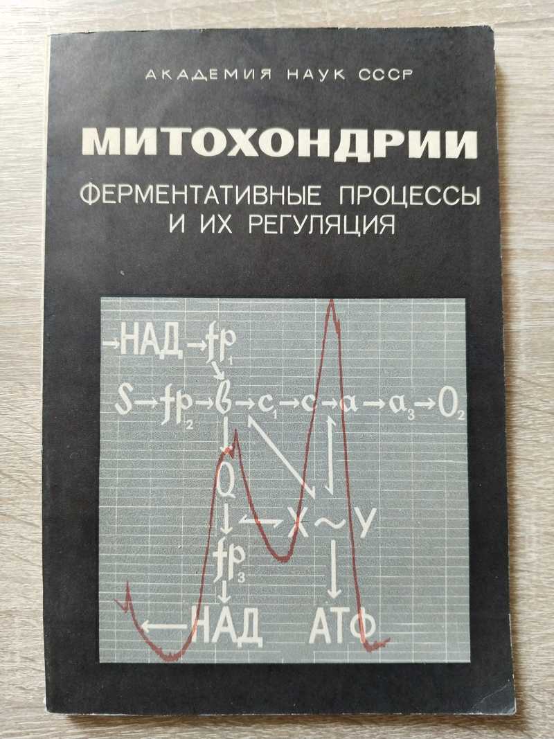 Митохондрии. Ферментативные процессы и их регуляция. Материалы симпозиума Биохимические функции в системе клеточных органелл