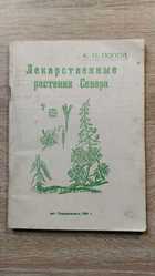 фото - предпросмотр