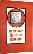 фото - предпросмотр