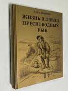 Фото - предпросмотр