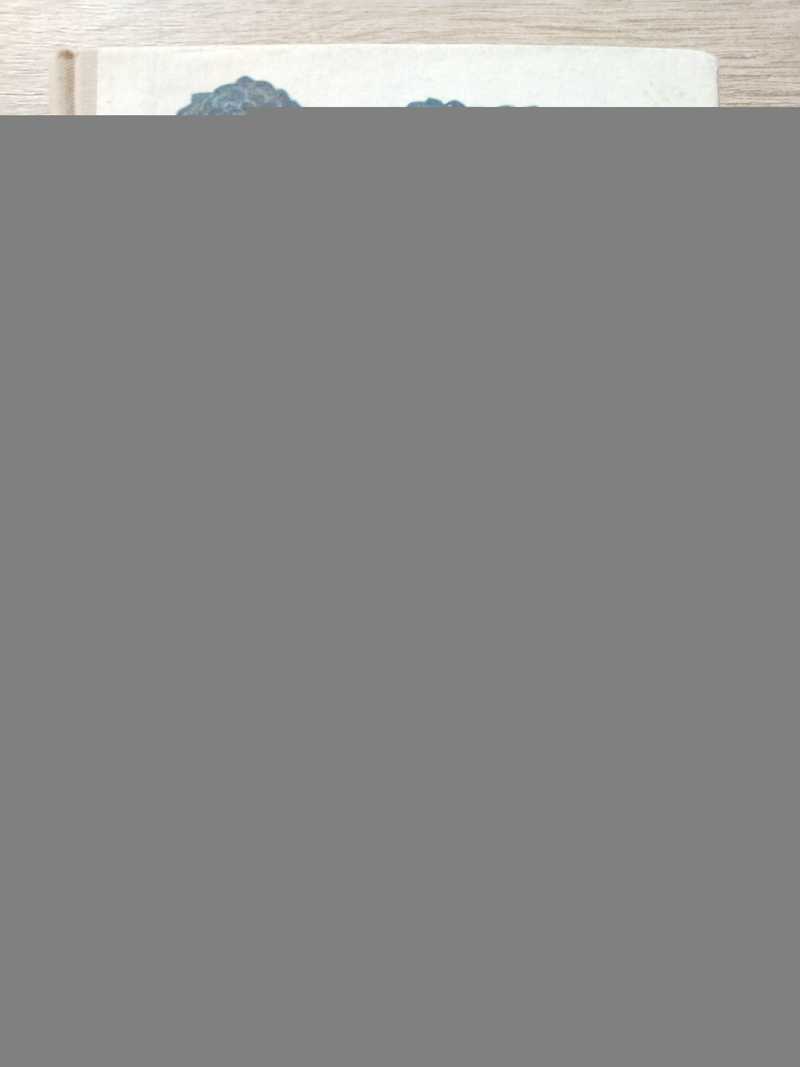 Повесть о царе Удаяне