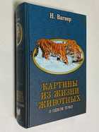 Фото - предпросмотр