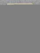 фото - предпросмотр