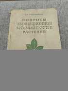 фото - предпросмотр