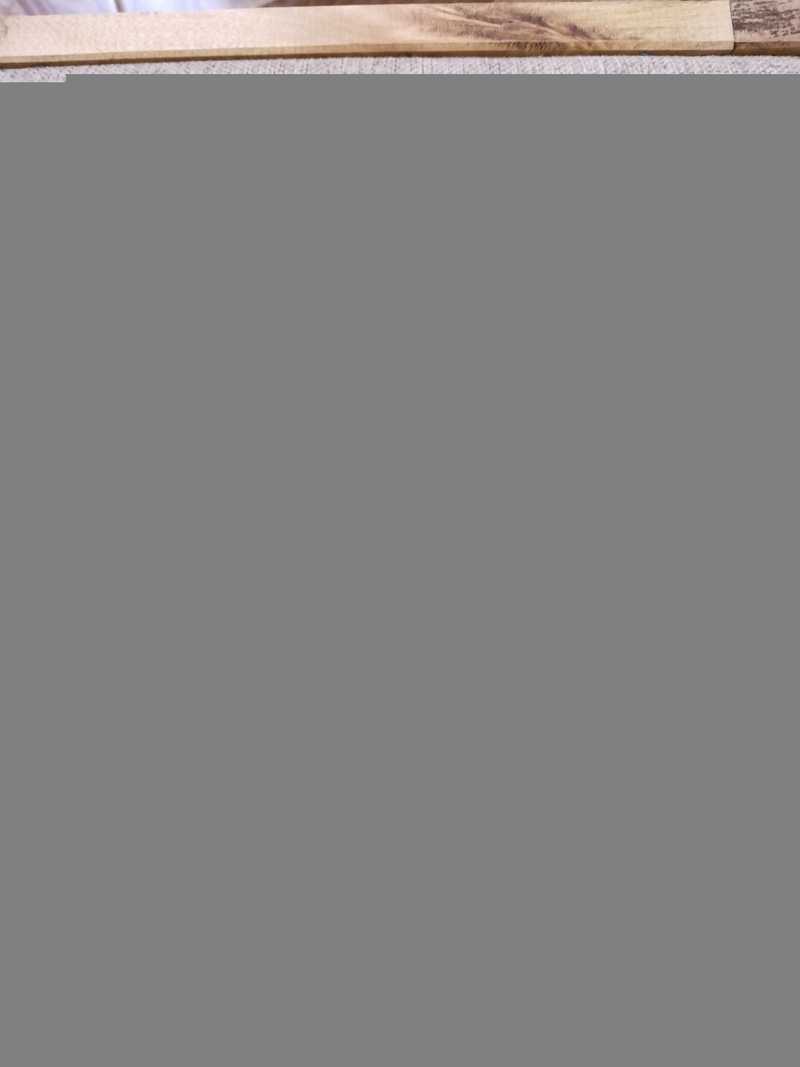 Анатомия растений