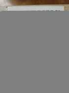 фото - предпросмотр