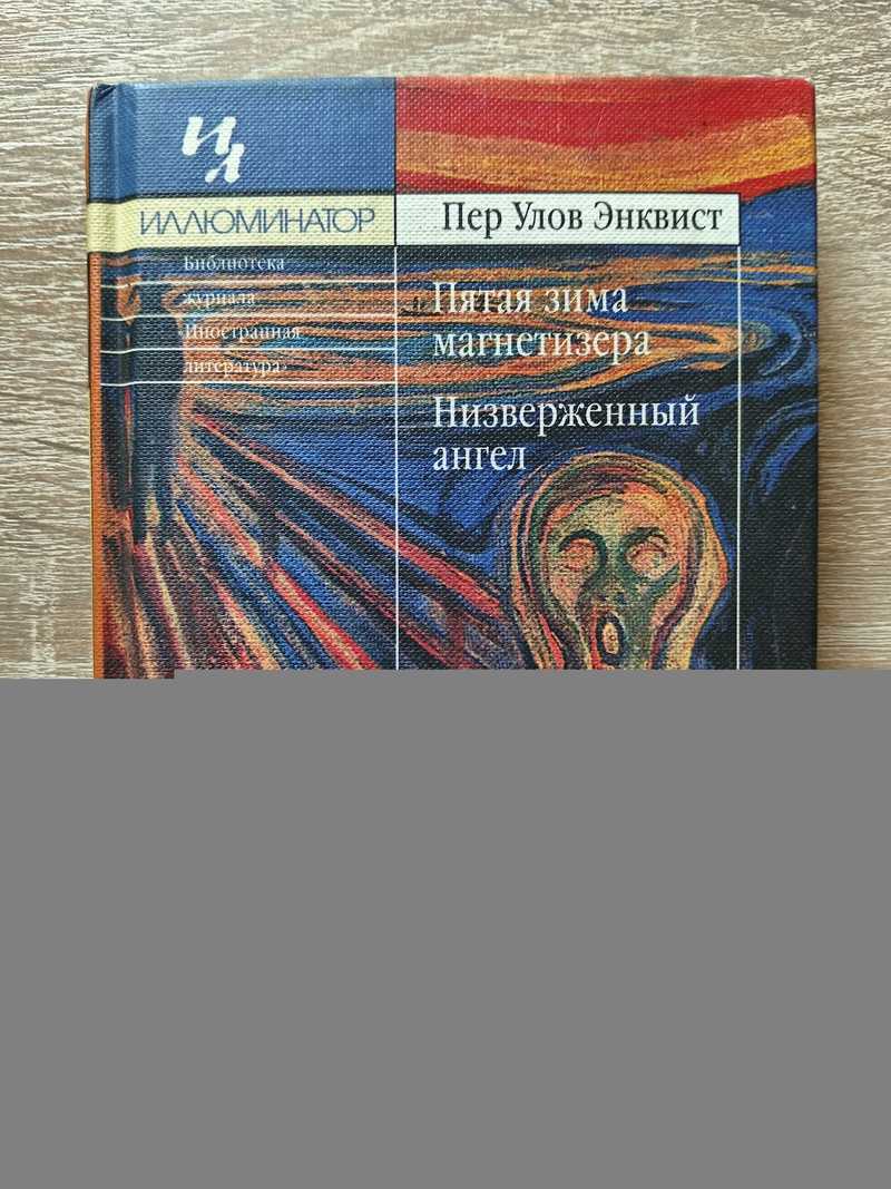 Пятая зима магнетизера. Низверженный ангел