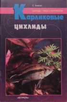 Обложка - предпросмотр