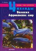 Обложка - предпросмотр