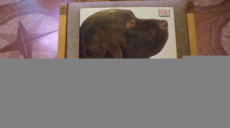 Собаки: Новая энциклопедия