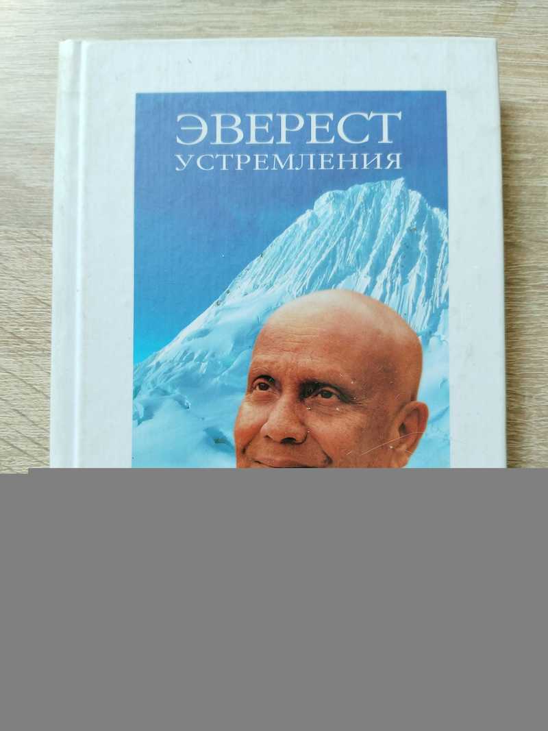 Эверест Устремления