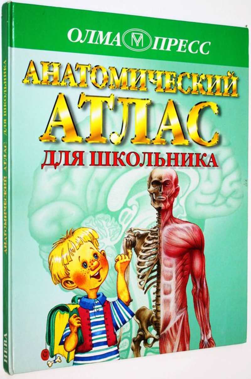 Анатомический атлас для школьника