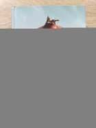 фото - предпросмотр