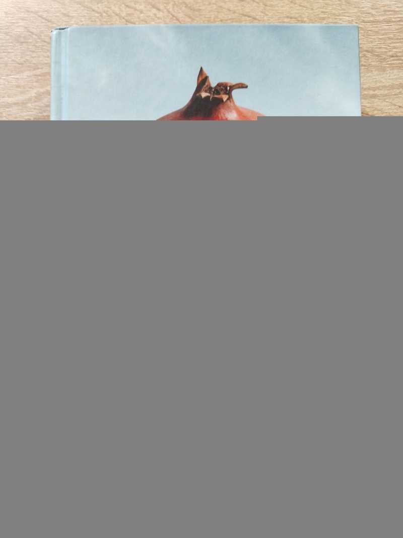 Йерве из Асседо