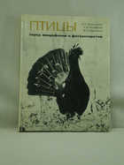 Обложка - предпросмотр