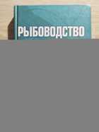 фото - предпросмотр