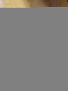 фото - предпросмотр