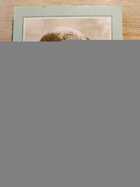 фото - предпросмотр