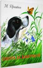 фото - предпросмотр