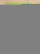 фото - предпросмотр