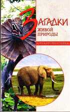 Смотрите обложку книги - предпросмотр