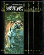 Смотрите обложку книги - предпросмотр