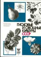 Смотрите обложку книги - предпросмотр