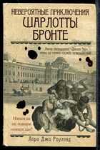 Смотрите обложку книги - предпросмотр