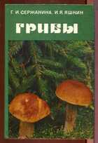 Смотрите обложку книги - предпросмотр