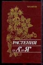 Смотрите обложку книги - предпросмотр