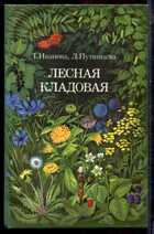 Смотрите обложку книги - предпросмотр