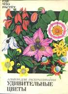 Смотрите обложку книги - предпросмотр