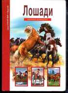 Смотрите обложку книги - предпросмотр